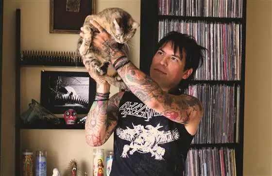 10 cats that are so metal 3