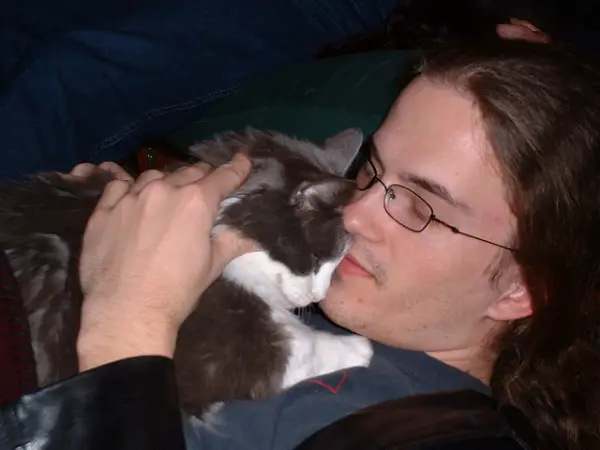 12 cats that really love their humans 11