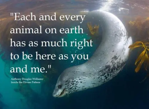 14 inspiring animal quotes that will put things in perspective 9
