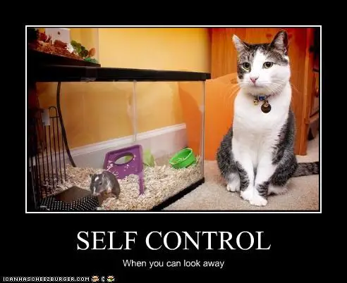 16 animals that are masters of self control 14