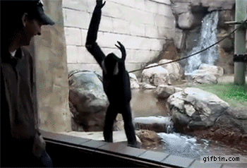 19 things you wont expect at zoo 20