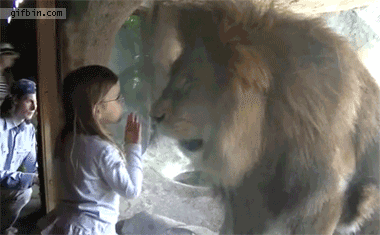 19 things you wont expect at zoo 3