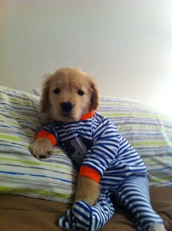 21 pic of adorable little guys all ready for nap time 14