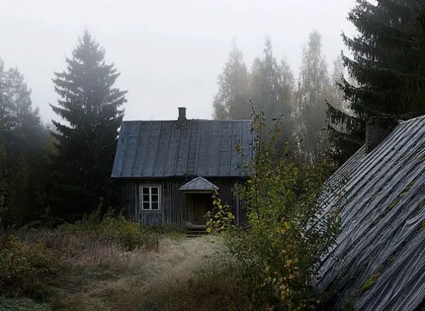 abandoned cottage in the woods is not always empty 3