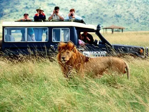 amazing wild animals safari photo adventure in africa 10 pictures 1