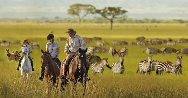 amazing wild animals safari photo adventure in africa 10 pictures 4