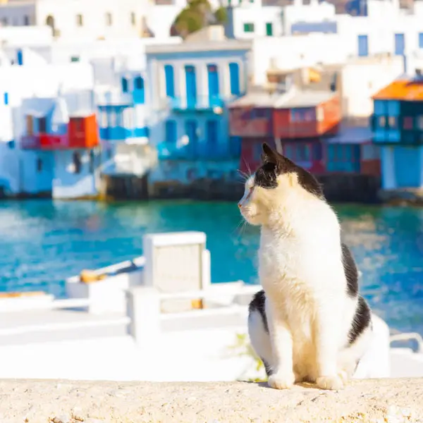 beauties of greek islands 10 pictures 9