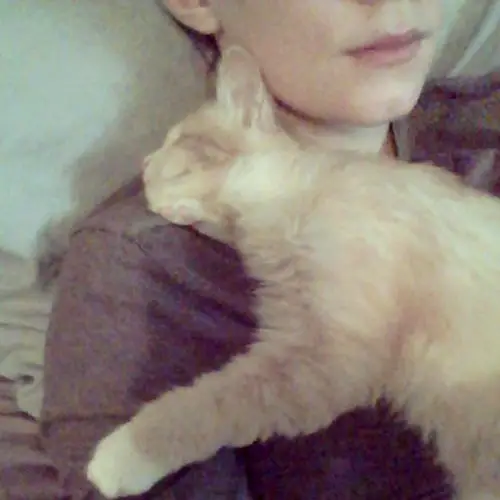 blinkin the blind but snuggliest cat in the world 7 pics 4