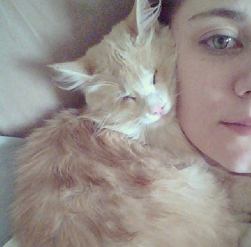 blinkin the blind but snuggliest cat in the world 7 pics 7