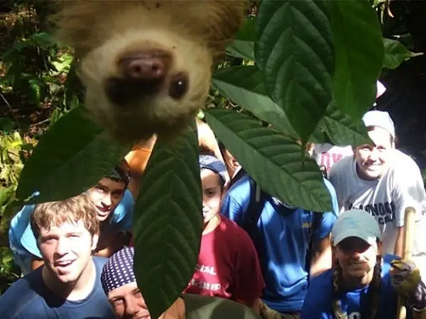 both adorable and awkward animal photobombs 15 pictures 3