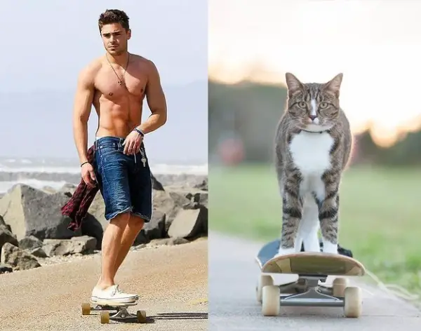 cats posing as handsome guys 21 pics 17