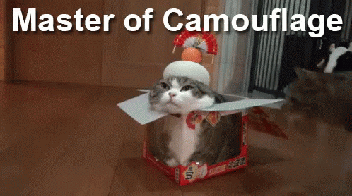 charming and witty cats  masters of camouflage  17 photos 17