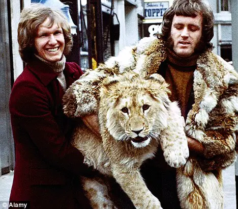 christian the lion who rode in bentley 3