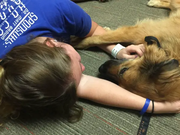 college therapy dogs help students destress during finals 8 pictures 8