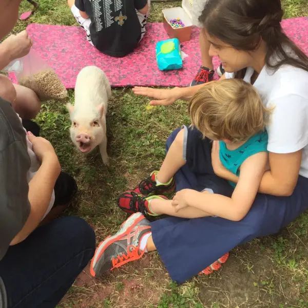 cutest oink a pig activist and a therapist 10 pictures 3