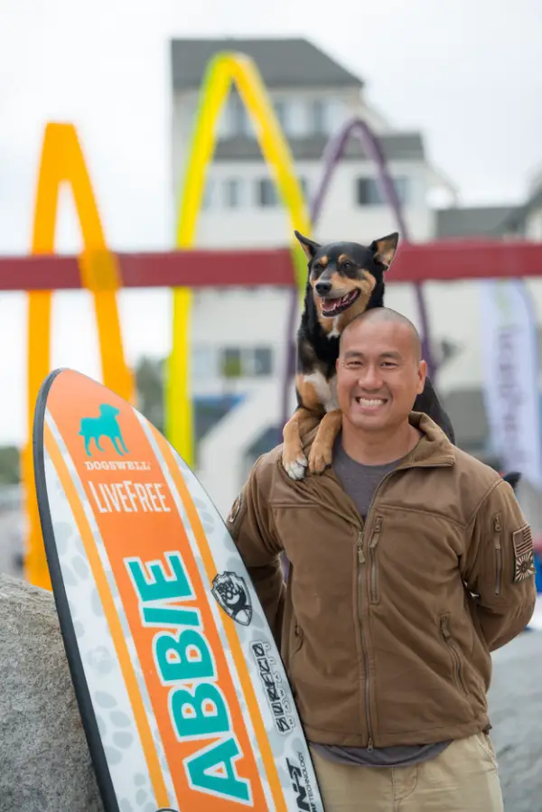 dog surfing is something you shouldnt miss 15 pics 1