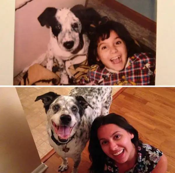 dogs and their owners  before and now  10 pictures 2