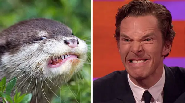 famous actor has the most adorable lookalikes 11 pictures 7