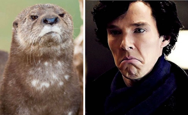 famous actor has the most adorable lookalikes 11 pictures 8