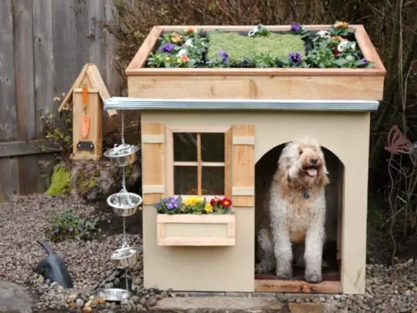 five star pet houses 14 pictures 1