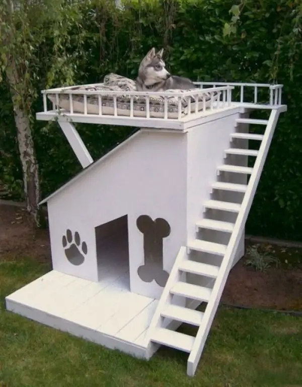 five star pet houses 14 pictures 10