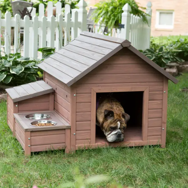 five star pet houses 14 pictures 12