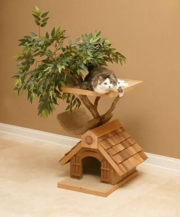 five star pet houses 14 pictures 14