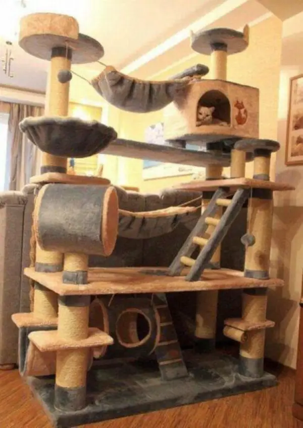 five star pet houses 14 pictures 2