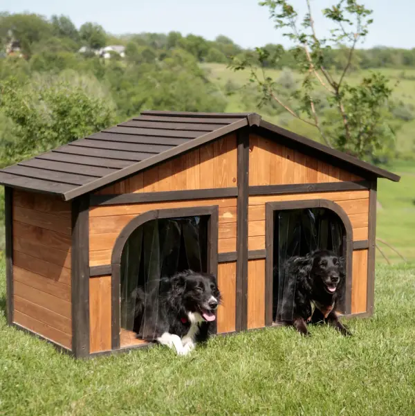 five star pet houses 14 pictures 9