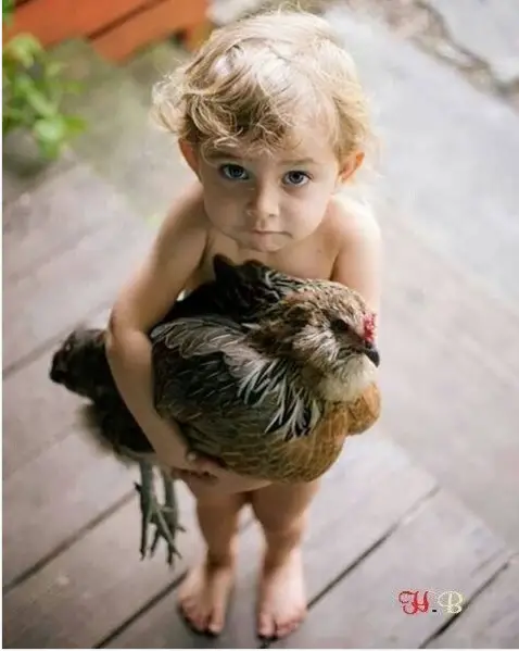 growing up with animals  growing up with love 10 pictures 10