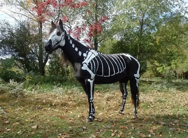 horse costumes living a day in your fantasy 24 pics 10