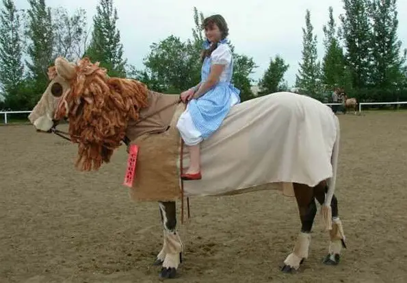 horse costumes living a day in your fantasy 24 pics 21