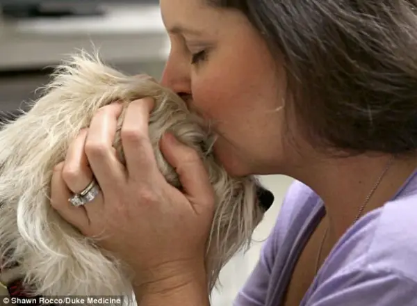 jj to the rescue adopted dog saves girls life at the operating table 6