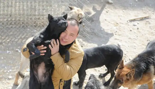 man who spent millions to save hundreds of dogs 13 pictures 9