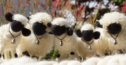 next time you count sheep to fall asleep think of valais blacknose sheep 11 pictures 5