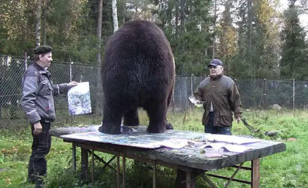 orphaned and amazingly talented animal painter juuso the bear 17 pictures 4