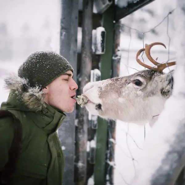 photographer that makes a sweet deal with wild animals 17 pictures 5