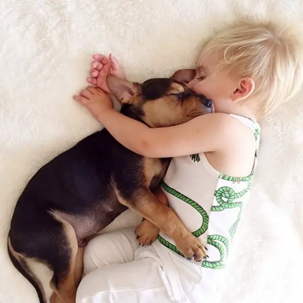 sleeping with your pet yes or no 17 pictures 3