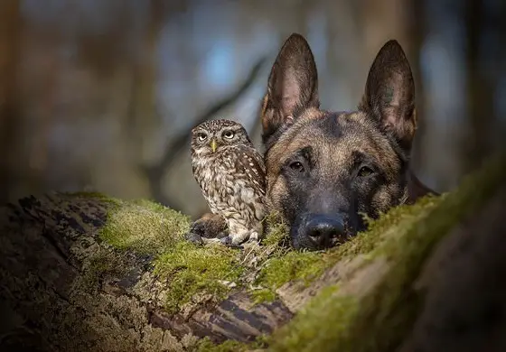 tanja brandt and her unlikely models 10 pictures 10