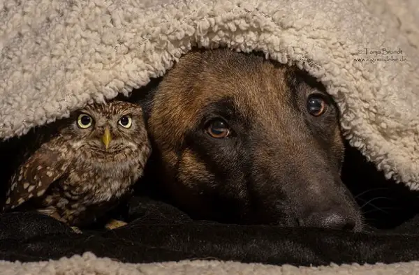 tanja brandt and her unlikely models 10 pictures 2