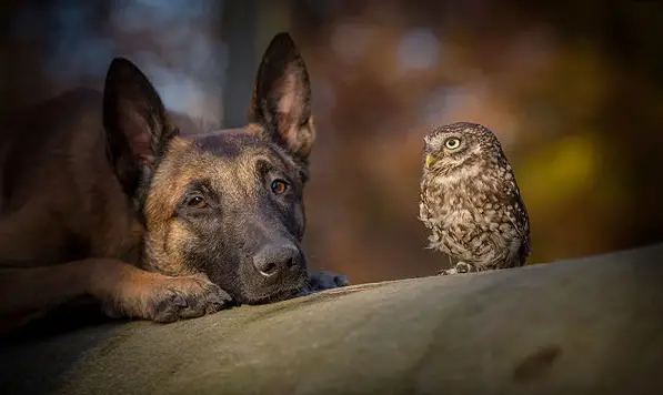 tanja brandt and her unlikely models 10 pictures 4