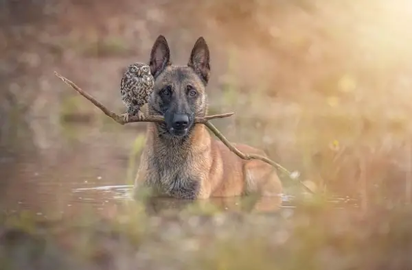 tanja brandt and her unlikely models 10 pictures 5