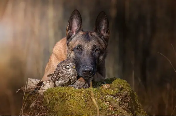 tanja brandt and her unlikely models 10 pictures 6