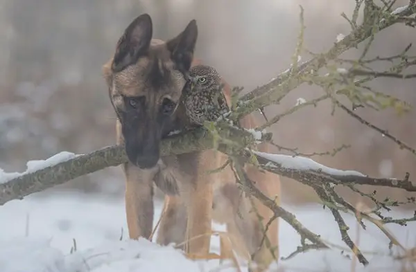 tanja brandt and her unlikely models 10 pictures 8