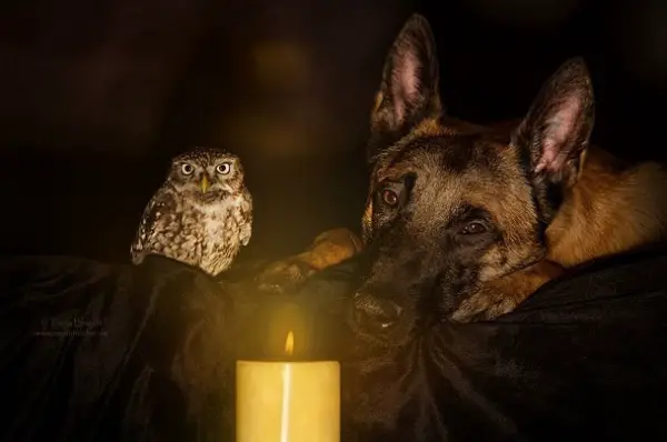 tanja brandt and her unlikely models 10 pictures 9