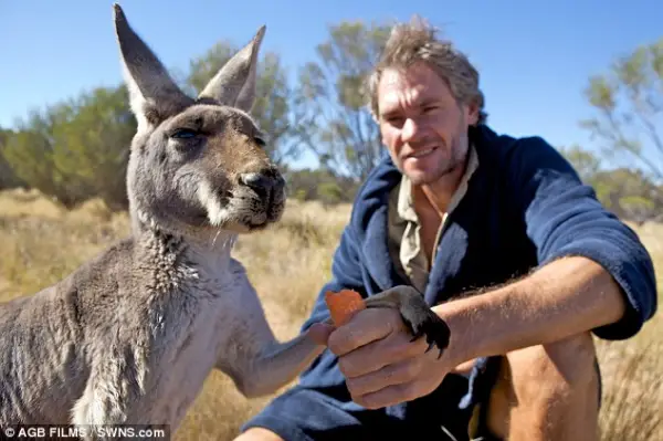 the kangaroo sanctuary that will restore your faith in humanity 12 pics 3