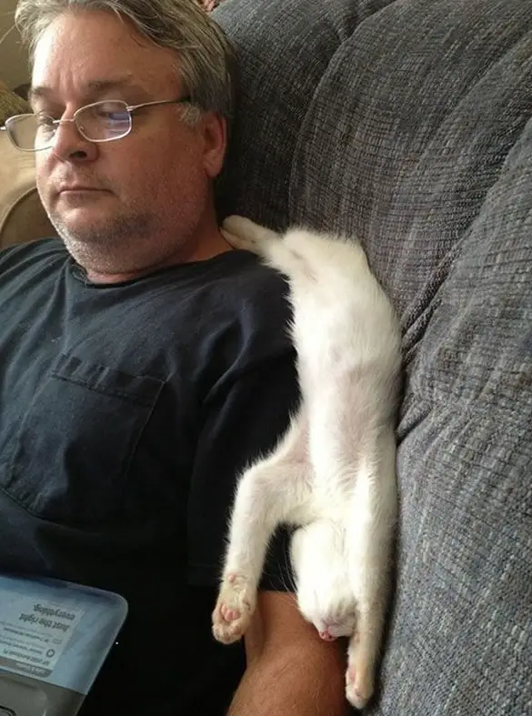 the struggle is real 26 things every cat owner goes through 19