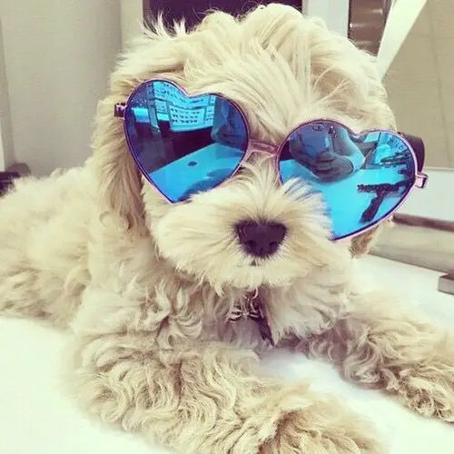these adorable little ones are definitely up with the new trends  19 pictures 1