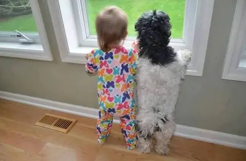 they both need a friend while growing up 3