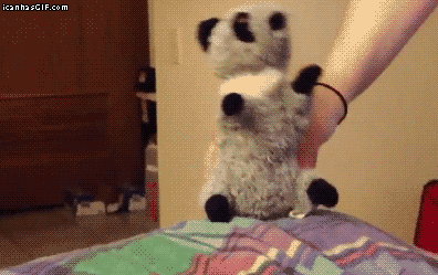 they might be small and fluffy but they are still fierce hunters 14 gifs 7
